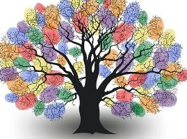 주민등록번호 뒷자리 남자 여자 지역 번호 1 3 2 4