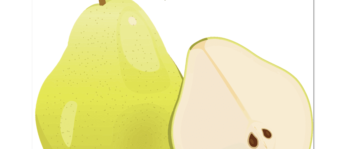 과일 배 사진 - 2