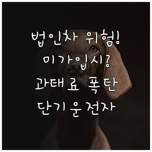 법인자동차보험 단기운전자 특약 미가입..
