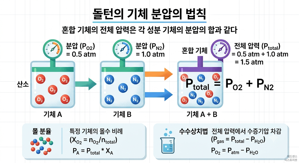 돌턴의 기체분압의 법칙을 설명하는 인포그래픽