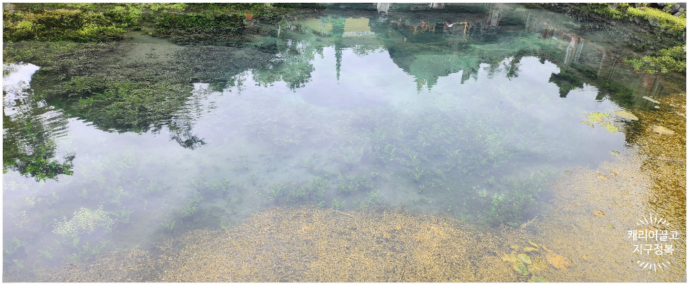 티르타 엠풀 사원(Tirta Empul Temple)