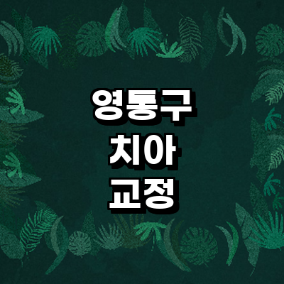 수원 영통구 교정 치과