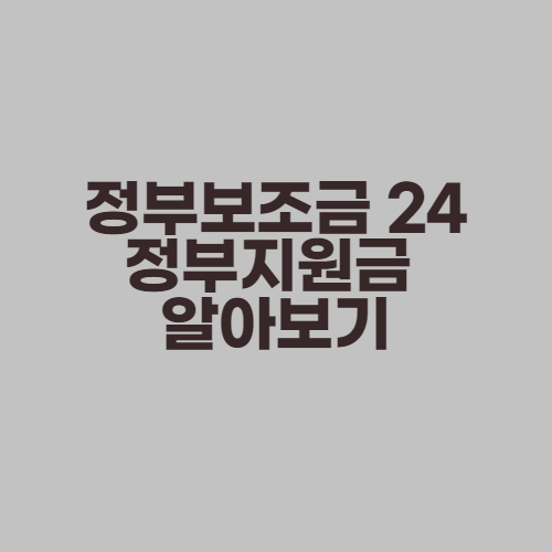 보조금24 정부지원금 정책지원금 조회