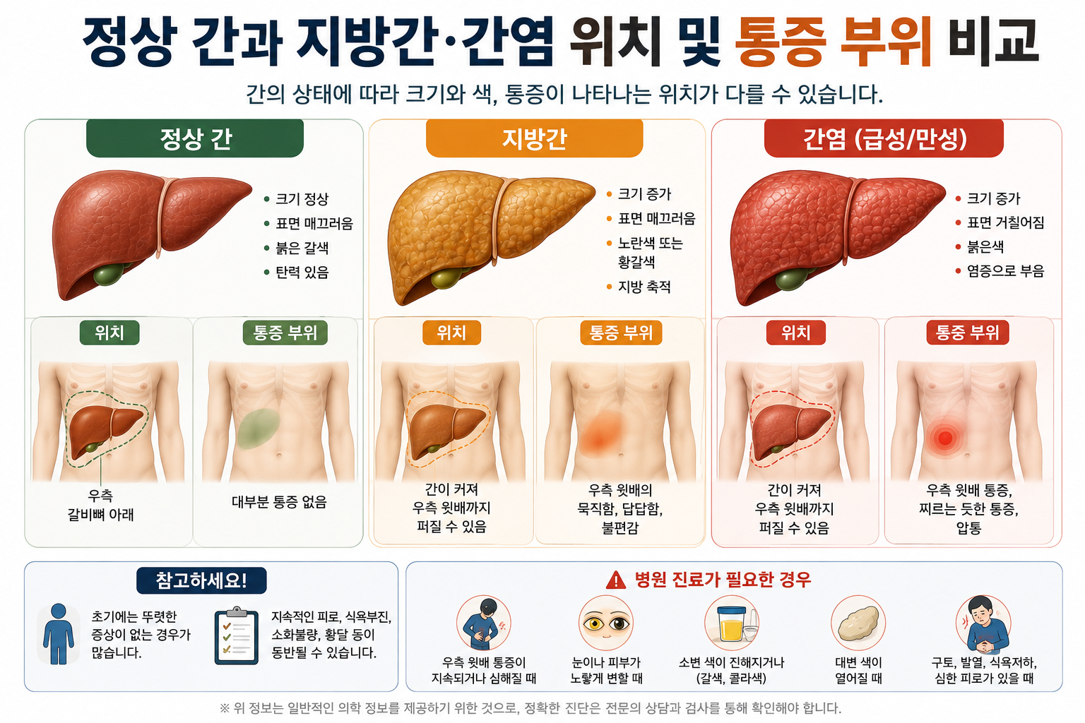 정상 간과 지방간, 간염의 위치 및 통증 부위 비교 이미지