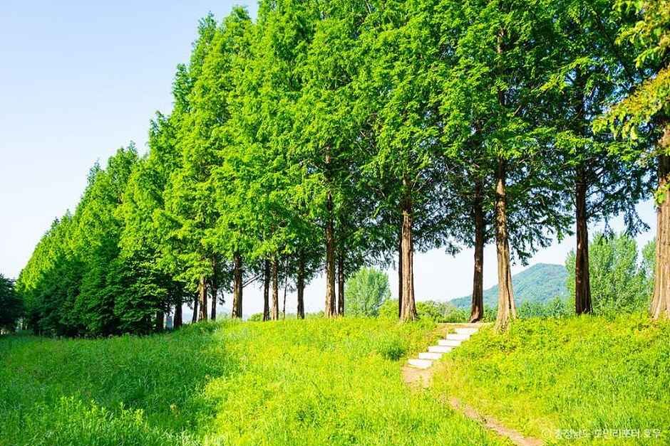 공주 가볼만한곳 베스트10