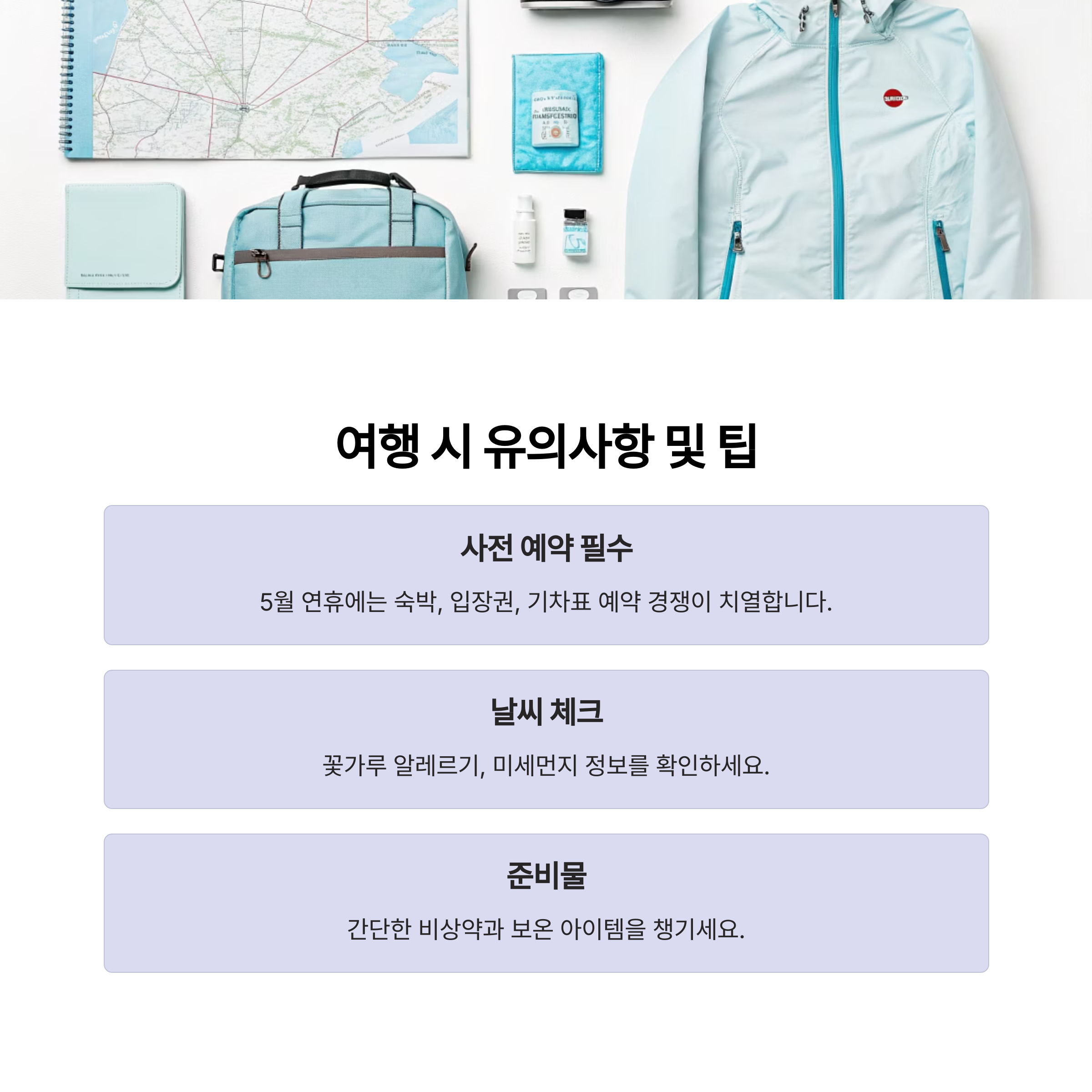 여행 시 유의사항 및 팁