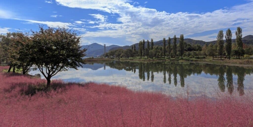 가평 자라섬 완벽 가이드: 자연과 문화가 공존하는 섬