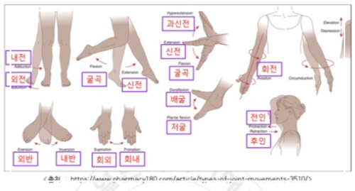 면에서의 움직임