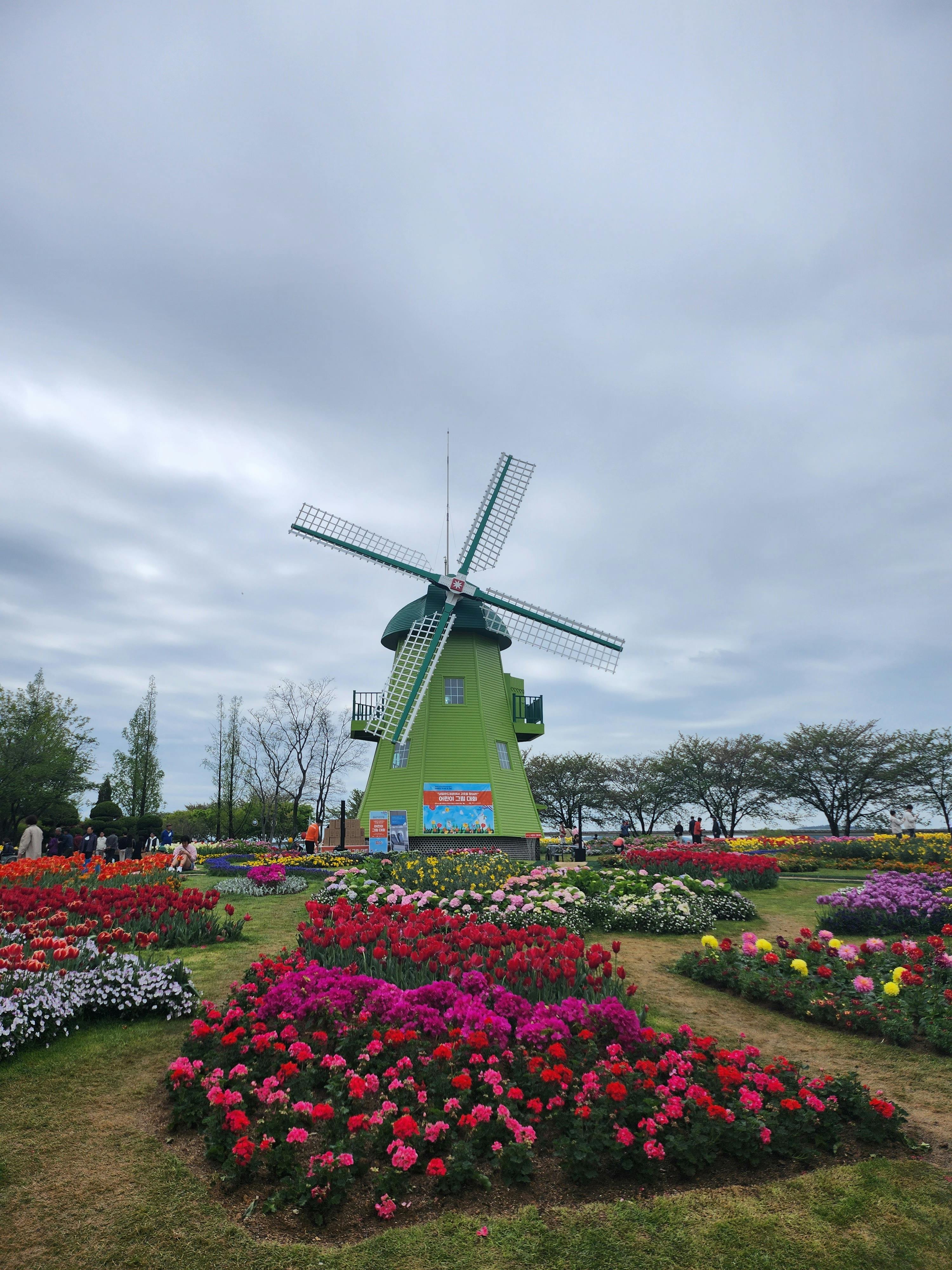 "빅아일랜드 여행 코스 완벽 가이드: 후기와 필수 정보 총정리!"