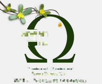 오메가3의 효능은 무엇일까?