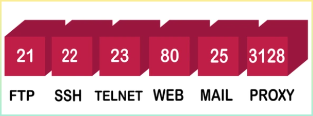 대표적인 포트에 대한 이미지 설명