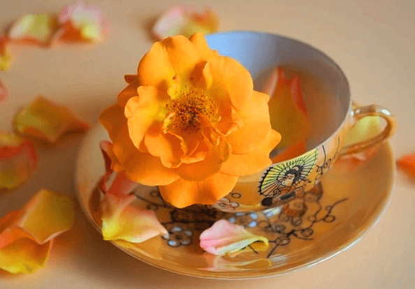 황금색의 찻잔 세트가 있다. 찻잔 안에는 주황색의 풍성한 꽃 한 송이가 들어있다.