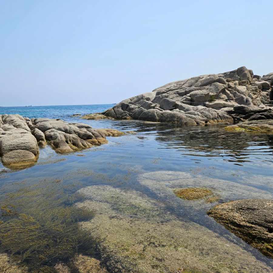 송지호해변