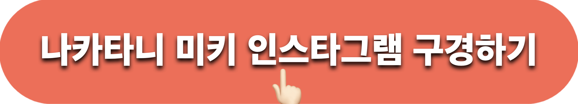 나카타니미키_인스타그램_구경하기