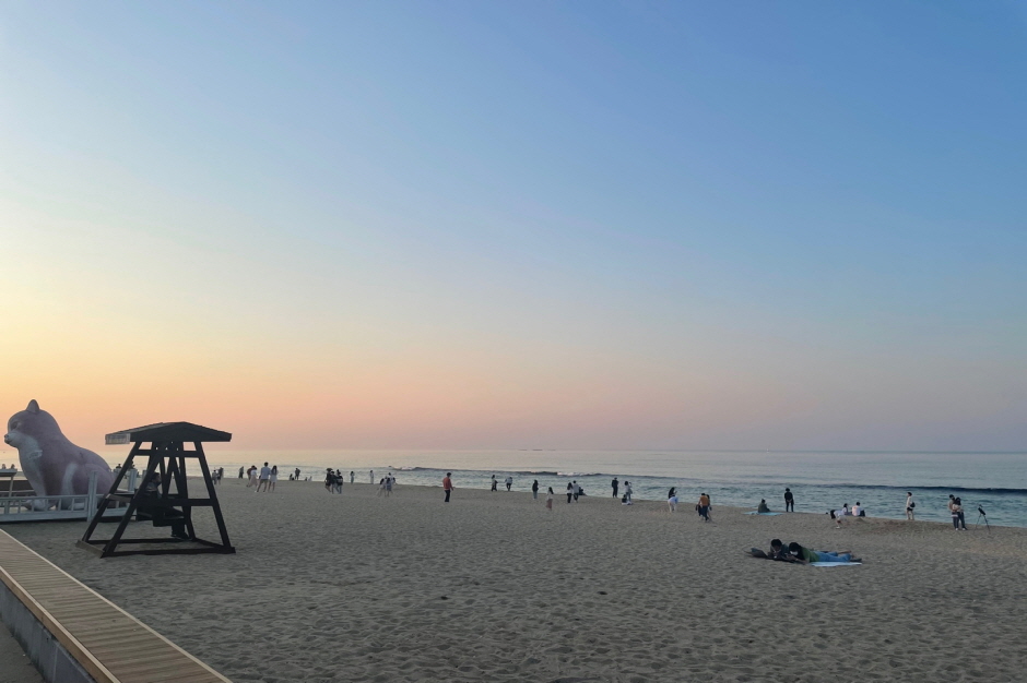 동해안 반려견 겨울 나들이 명소, 강아지와 함께 걷기 좋은 바다 산책 코스