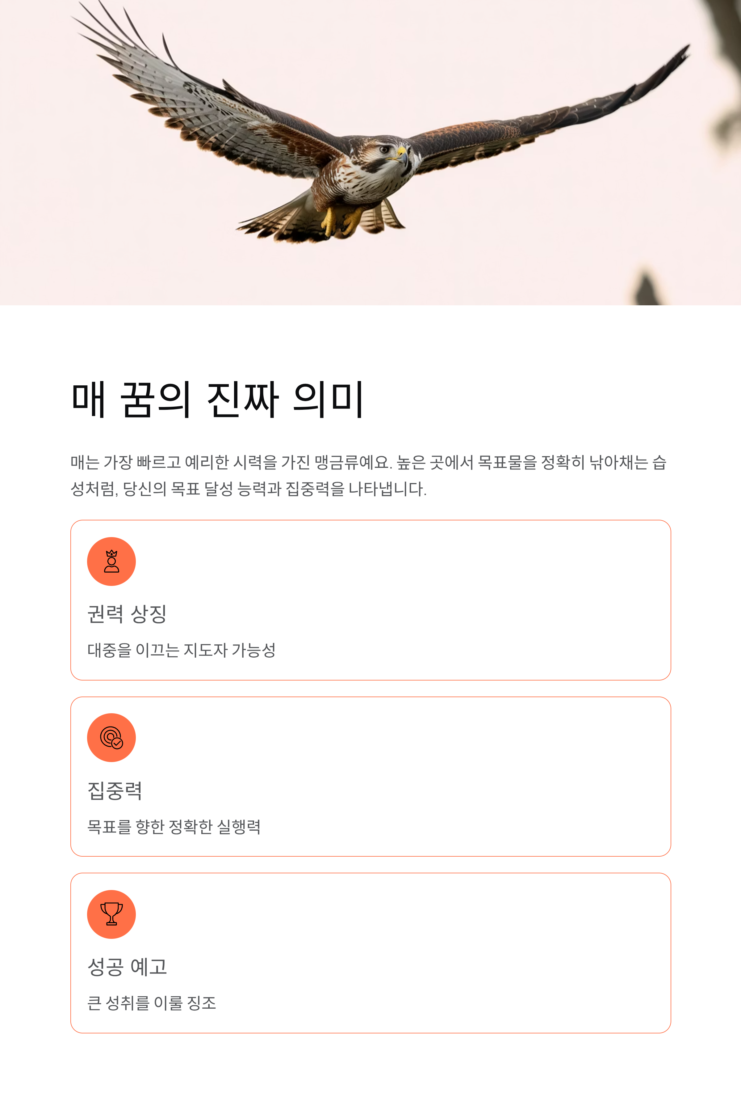 매 꿈 해몽 완벽 정리! 권력상징 태몽 길몽 맹금류 독수리 의미 총정리