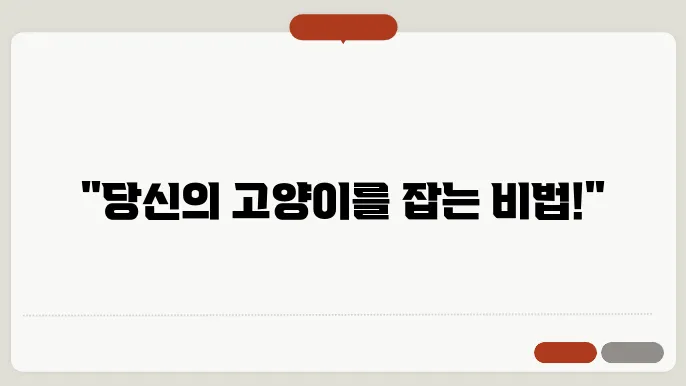 고양이 잡는법