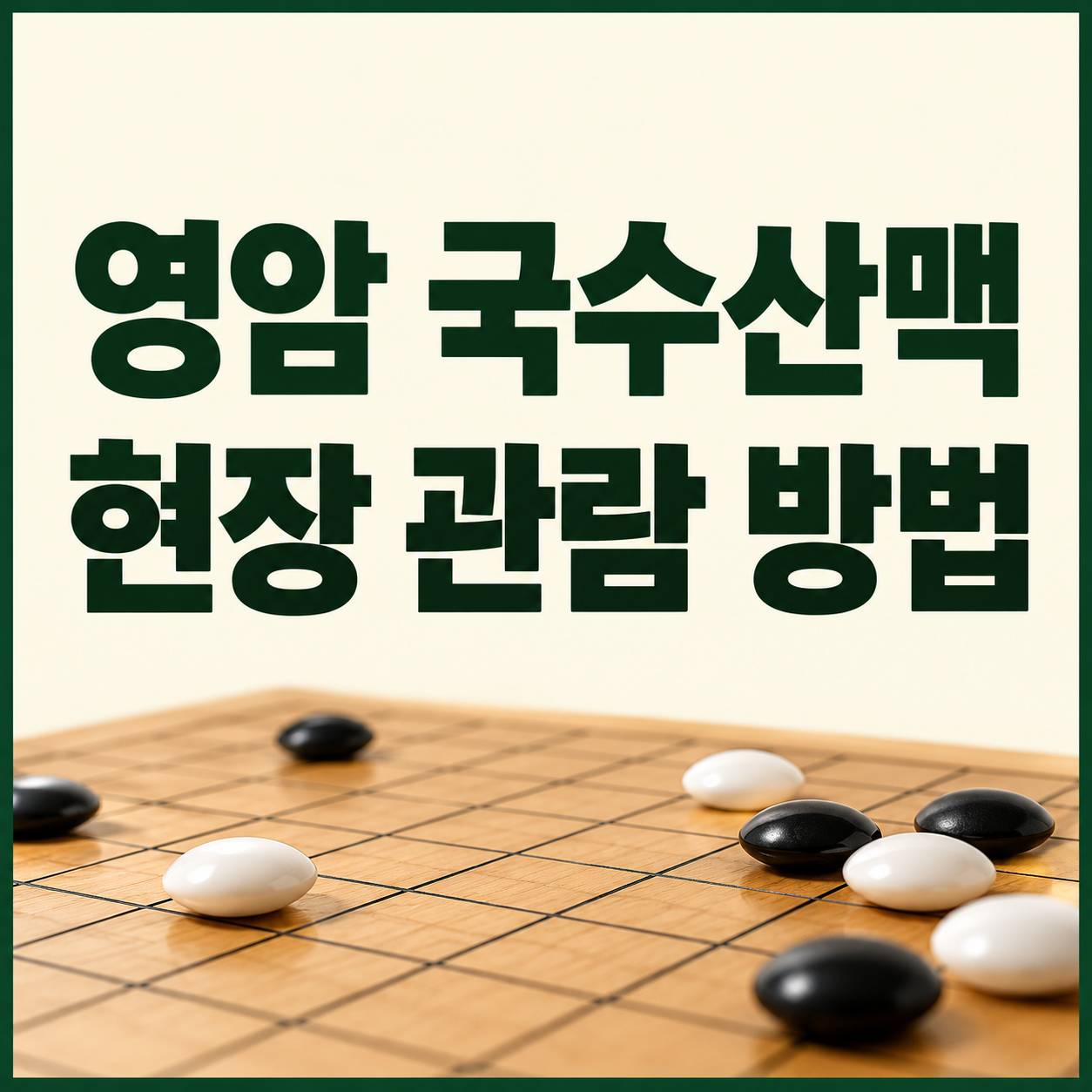 영암 국수산맥 바둑대회 관람 방법 2026|행사 장소·입장 조건·방문 준비