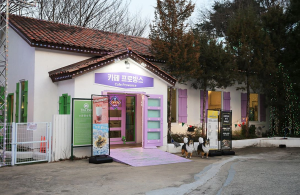 청도 프로방스 푸드 zone 프로방스 카페 모습