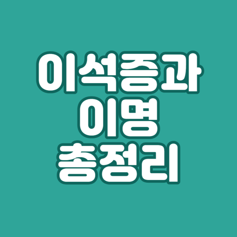 이석증과 이명
