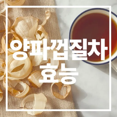 양파껍질차 효능