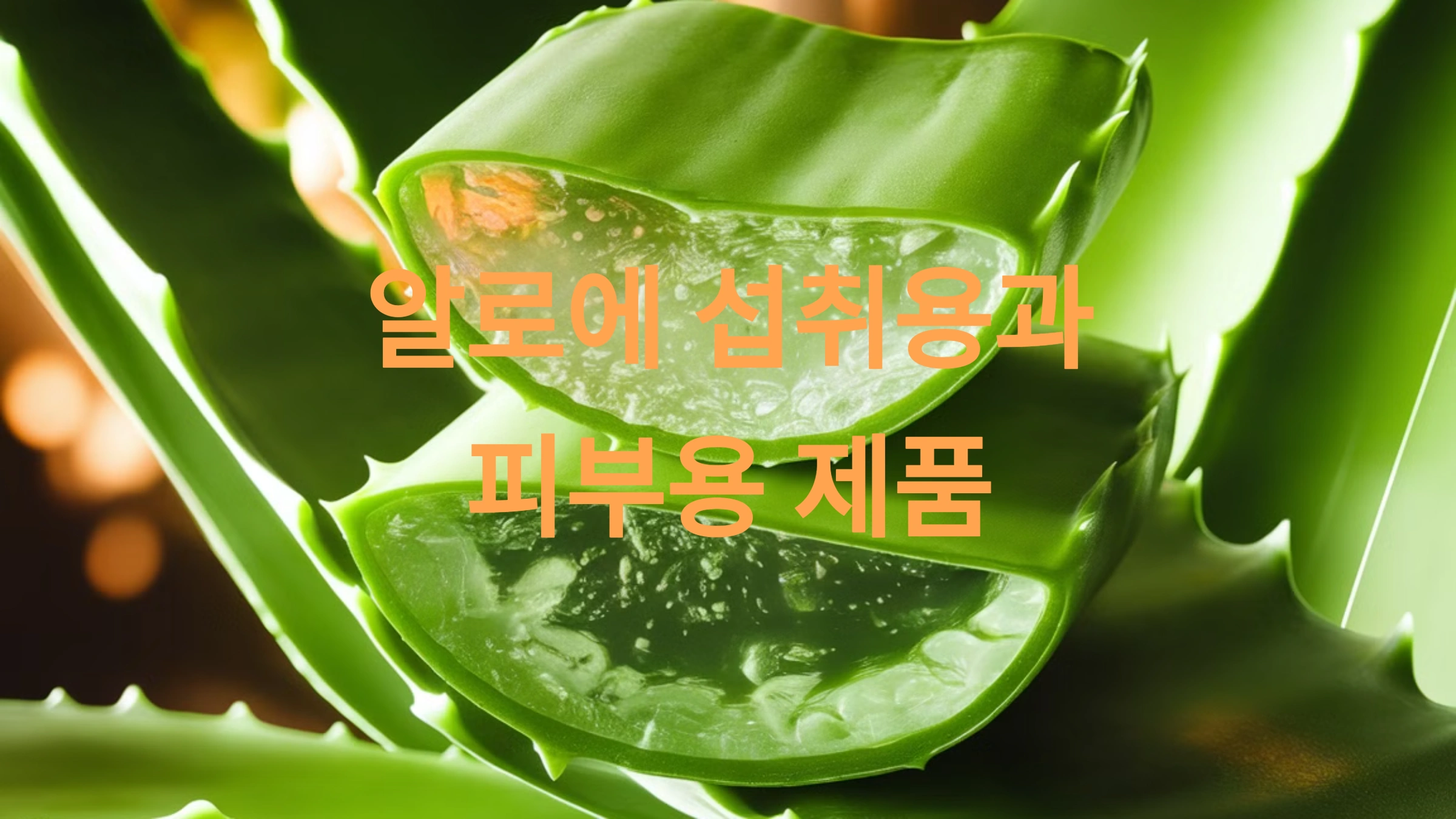 알로에 제품의 종류와 사용법: 섭취용과 피부용 제품의 모든 것