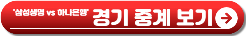 여자농구 플레이오프