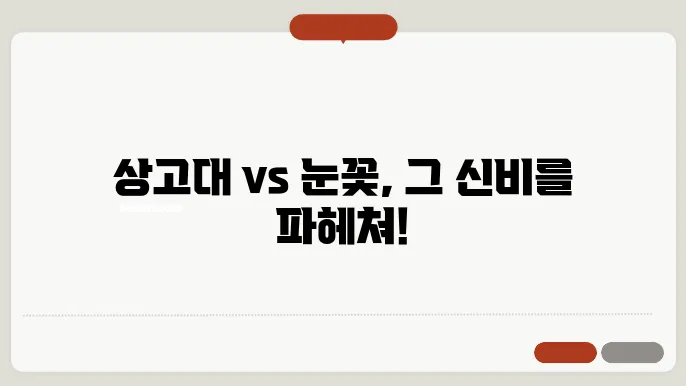 상고대 뜻, 상고대와 눈꽃의 지침