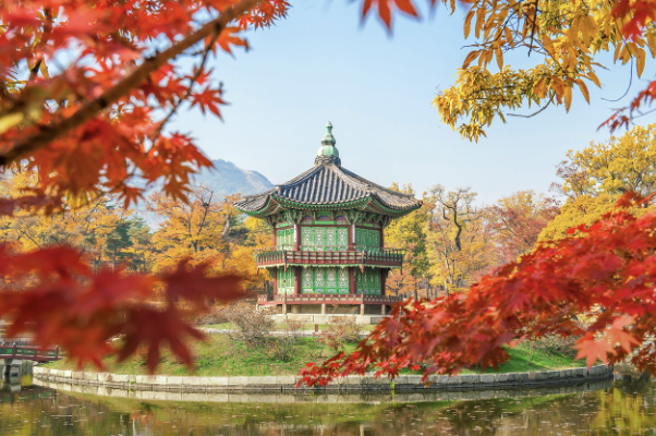 서울의 사계절 풍경 포인트, 계절마다 다른 매력을 담다