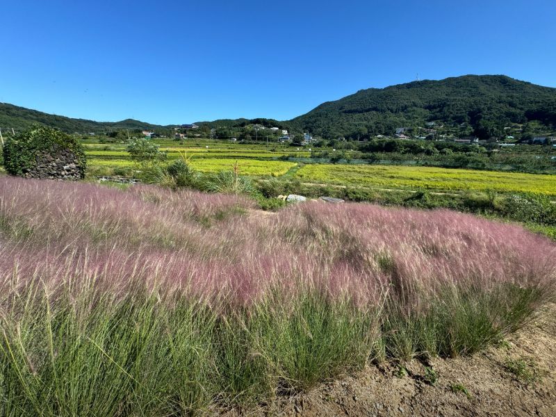 아름다운정원 화수목