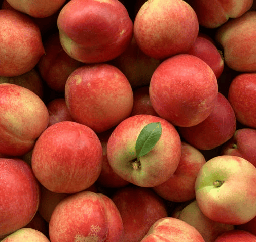 신비복숭아 추천 순위 TOP 5(25년 6월) - 네이버, 쿠팡 인기 판매 랭킹 비교