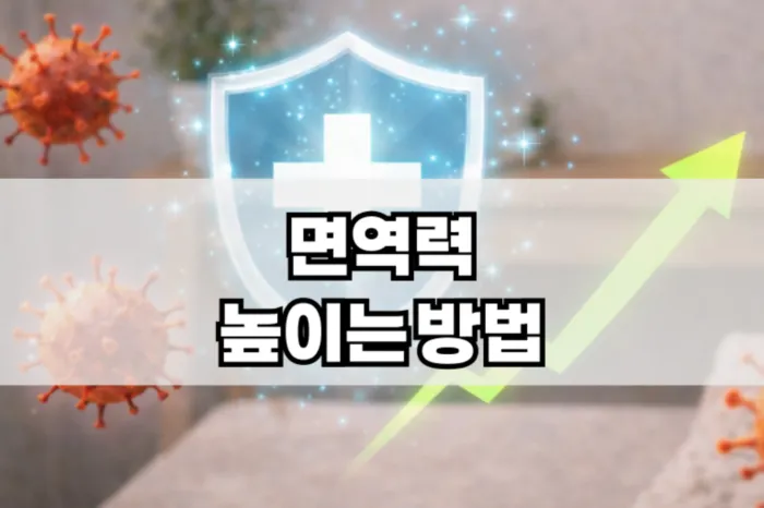 면역력을 높이는 방법