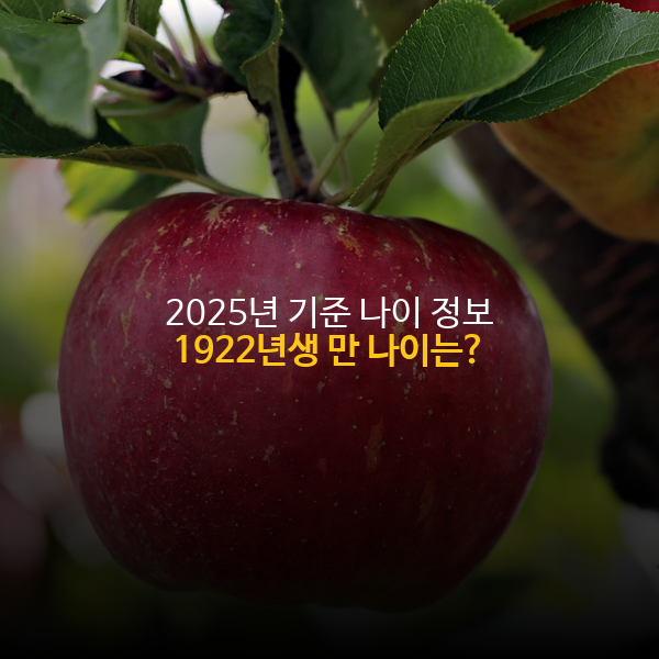 1981년생 만나이, 한국 나이 - 2025년 기준 1981년생 나이 정보