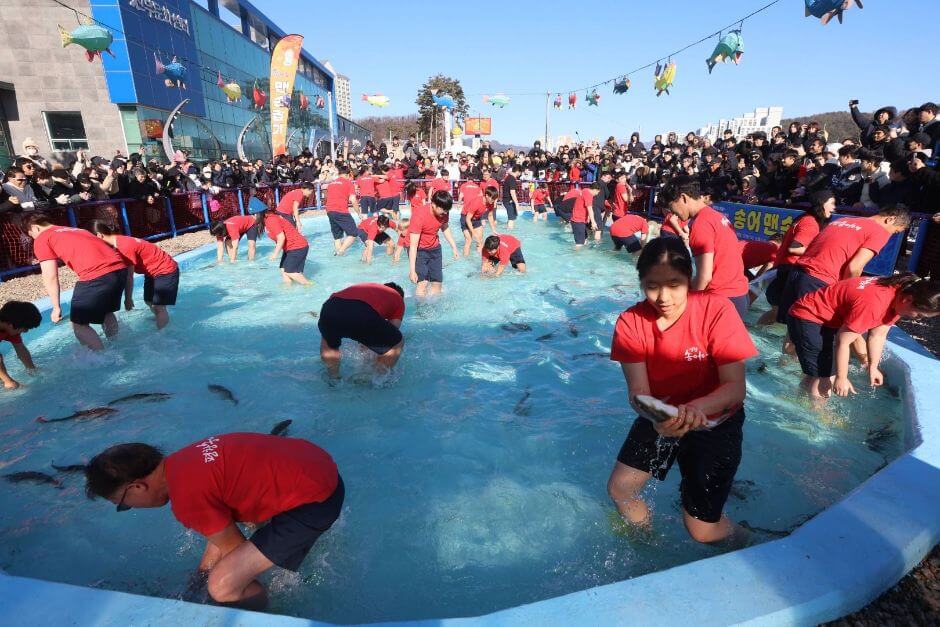 2025 평창 송어축제 맨손잡기