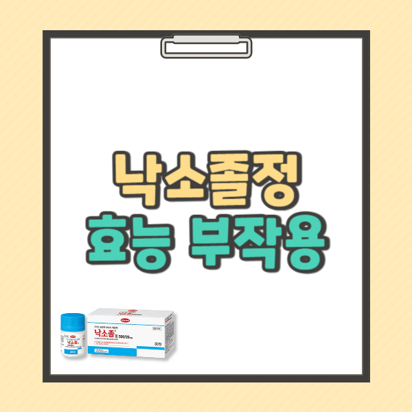 낙소졸정 500/20mg 효능 부작용 주의사항