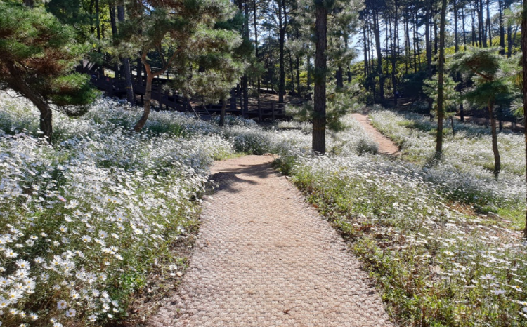 파주 율곡수목원