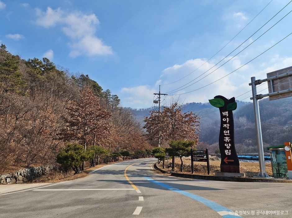 음성 가볼만한곳 베스트10