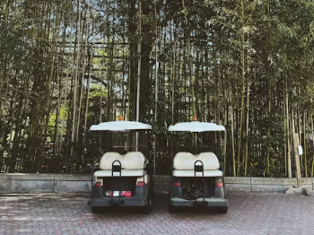 중고 골프카트카 가격 장점