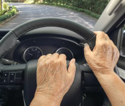 75세 이상자 운전면허증 갱신 방법 및 반납