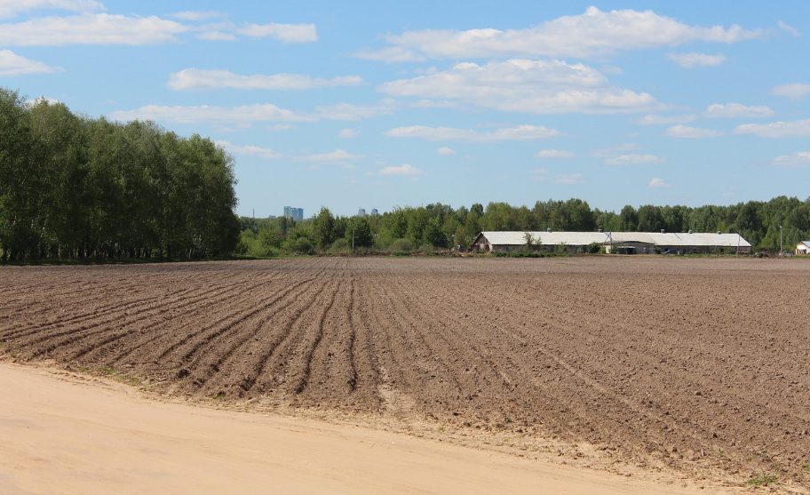 경작하기 전 비어있는 토지 사진