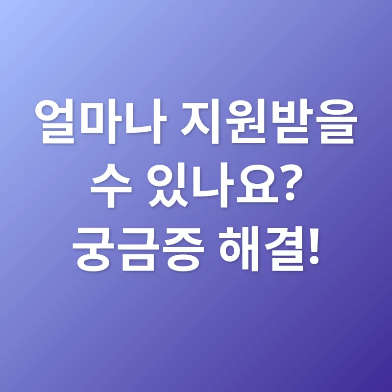 장애인연금_2