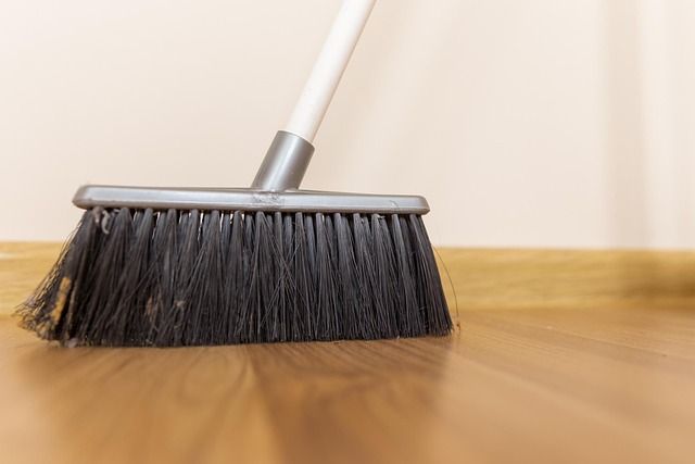 집안 먼지 이미지