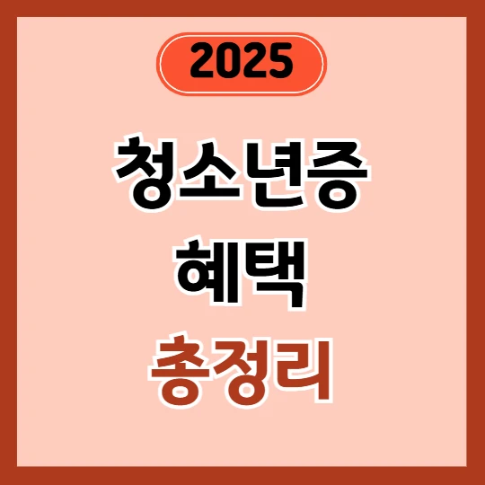 청소년증 혜택 총정리 – 2025년 필수 정보, 교통·문화·소득공제까지