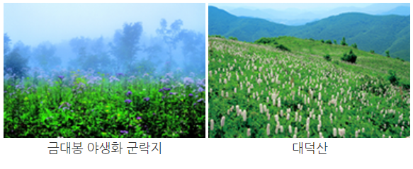 태백산 등산코스
