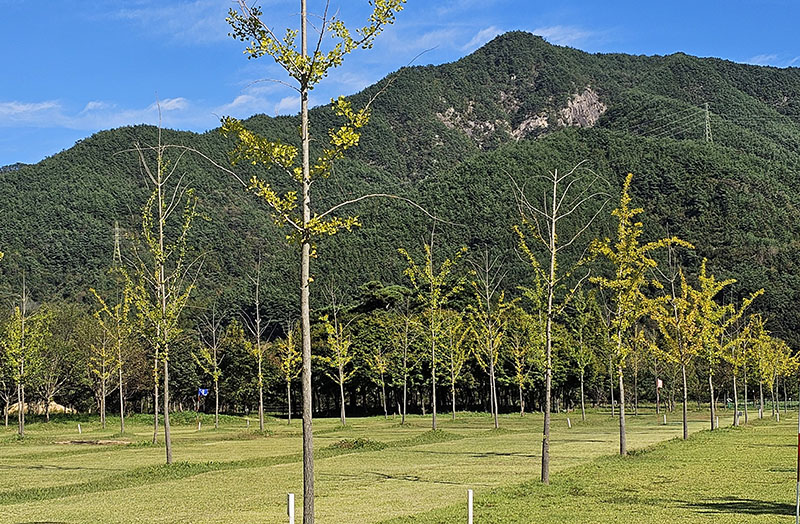 진안 주천면 주천파크골프장 소개