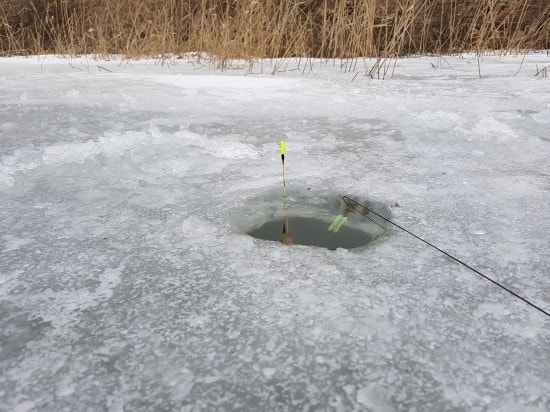 얼음나라 화천 산천어축제 2026 총정리|체험·놀이·먹거리·편의시설까지 한눈에 관련 사진