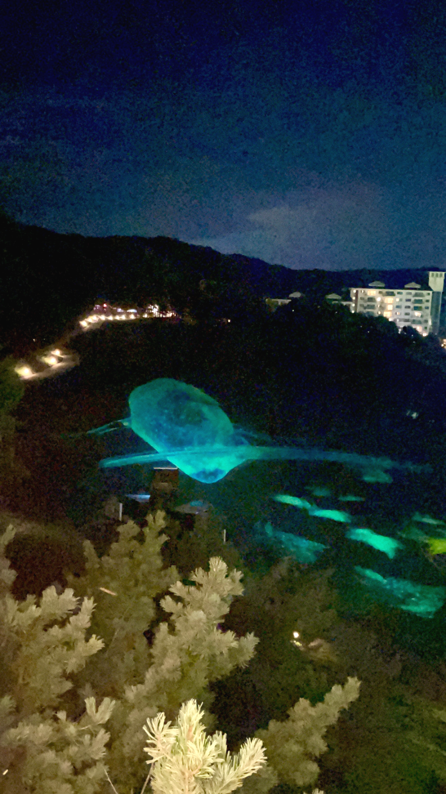 오크밸리CC 별빛 파도의 노래 감상8