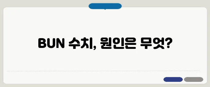BUN 수치가 높을 경우 의심 질환 콩팥 문제일 수도 있다