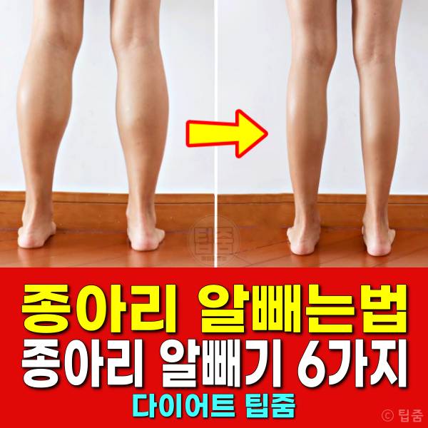 종아리 알빼는법 종아리 알빼기 음식 차 폼롤러 보톡스 고주파