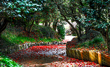 2025 광양전어축제가 한자리에! 